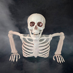 Skelet Overkrop