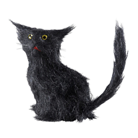 Sort kat