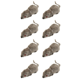 Behårede Mus