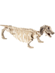 Gravhund Skelet Figur