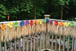 Hawaii Ophæng