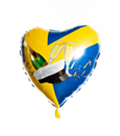 Hjerte Svensk Studenten Folieballon