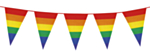 Pride Vimpelguirlande