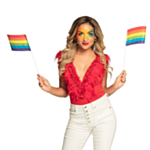 Pride Flag På Pinde Regnbue
