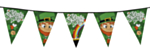 Sankt Patricks Vimpelbanner