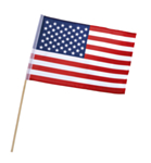 USA Flag På Pind