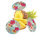 Hawaiiblomster Cocktail Paraplyer