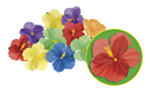 Hawaii Blomster