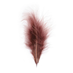 Dekorationsfjer Chokolade 10-15 cm