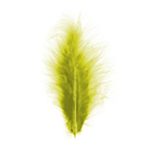 Dekorationsfjer Kiwi 10-15 cm