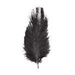 Strudsefjer Sort 20-25 cm