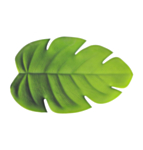 Monstera Blad Grøn