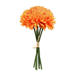 Dahlia Blomster Orange