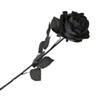 Kunstig Rose Sort