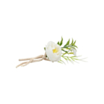 Pæon Blomsterdekoration Hvid