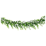 Eukalyptus Guirlande Grøn