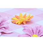 Marguerit Konfetti Orange