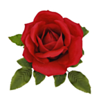 Velour Rosehoved Rød