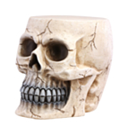 Kranie Skulptur Dekoration