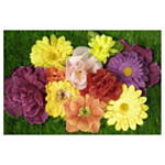 Blomsterhoveder Mix