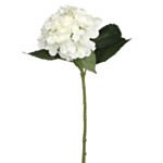 Kunstig Hortensia Blomst Hvid