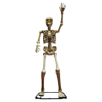 Gigantisk Skelet Figur