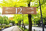 Kobberbryllup Banner