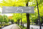 Sølvbryllup Banner