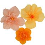 Crepe Papirblomster Fersken/Orange
