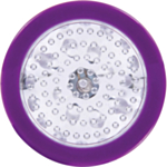 LED Græskarlys Multi