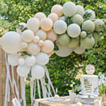 Salvie Ballonbue