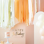 DIY Backdrop Laksefarvet