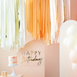 DIY Backdrop Laksefarvet