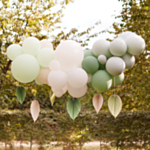 Ballonbue Backdrop Creme/Grøn