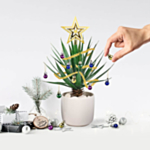 Plante Julepynt