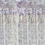 Glimmerforhæng Holografisk