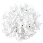 Kunstig Hortensia Blomst Hvid