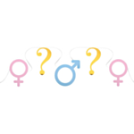 Gender Reveal Guirlande