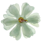Kunstige Blomster Grøn