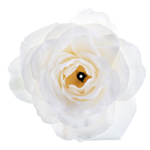 Rose Bordpynt Hvid