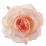 Rose Bordpynt Fersken