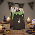 Troldmandslærling Festposer