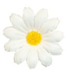 Marguerit Kunstige Blomster