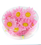 Dekorative Marguerit Blomster Lyserød