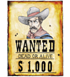 Western Wanted Plakat