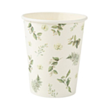 Botanisk Papkrus Hvid/Grøn