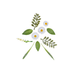 Marguerit Kunstige Blomster Hvid/Gul/Grøn