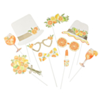 Citrusfrugter Photobooth Rekvisitter