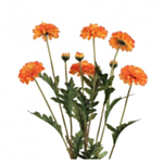 Kunstig Fløjlsblomst Buket Orange