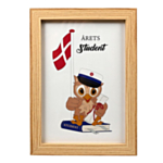 Årets Student Plakat I Ramme